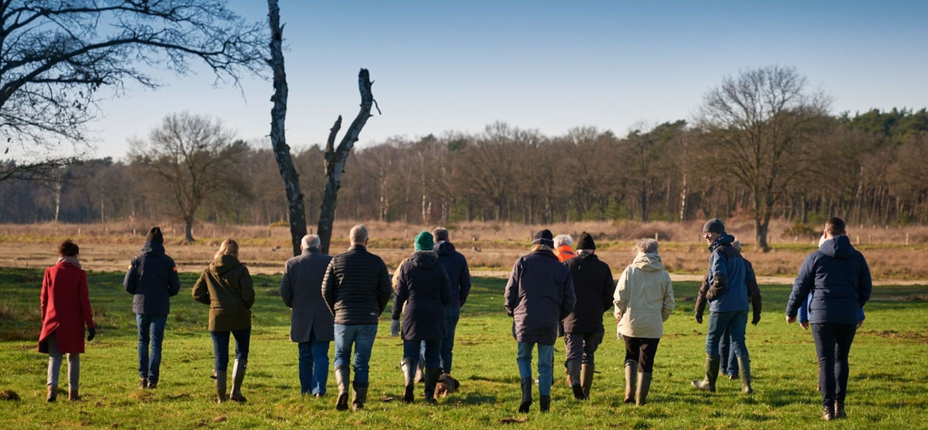 Wijffelterbroek Wijffelterbroek