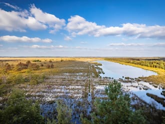 Fochteloërveen - uitzicht vanaf uitkijktoren de Zeven