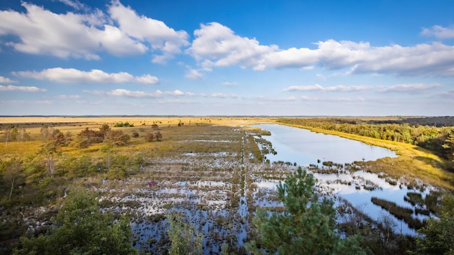 Fochteloërveen - uitzicht vanaf uitkijktoren de Zeven Fochteloërveen - uitzicht vanaf uitkijktoren de Zeven