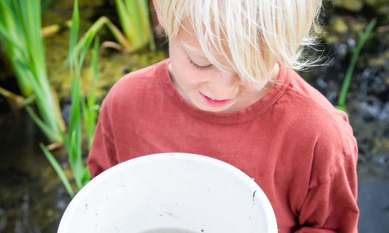 waterbeestejes