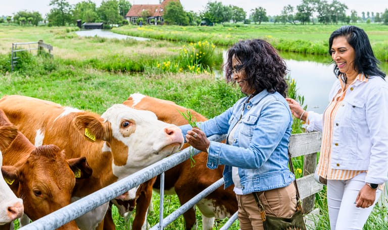 Boerenfietsroute Rotterdam