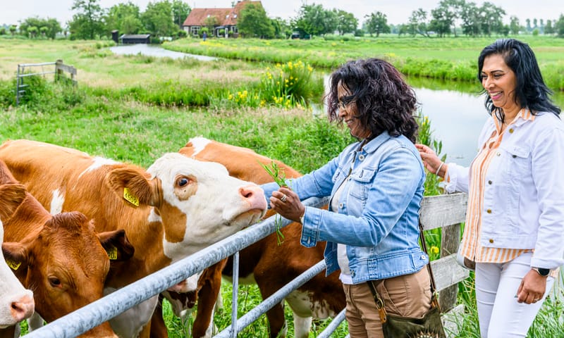 Boerenfietsroute Rotterdam