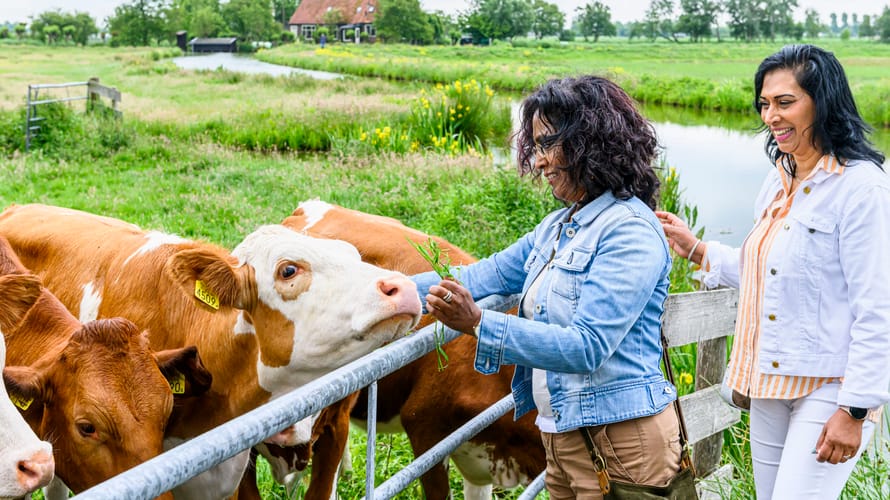 Boerenfietsroute Rotterdam