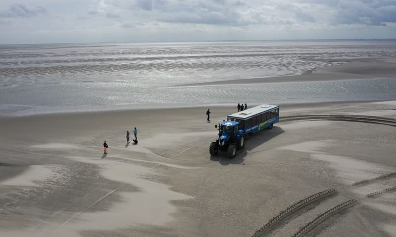 balgexpres en schelpen tellen