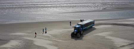 balgexpres en schelpen tellen