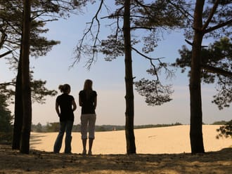 introfoto Hulshorsterzandwandelingen