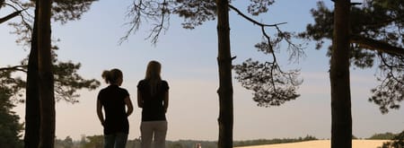 introfoto Hulshorsterzandwandelingen