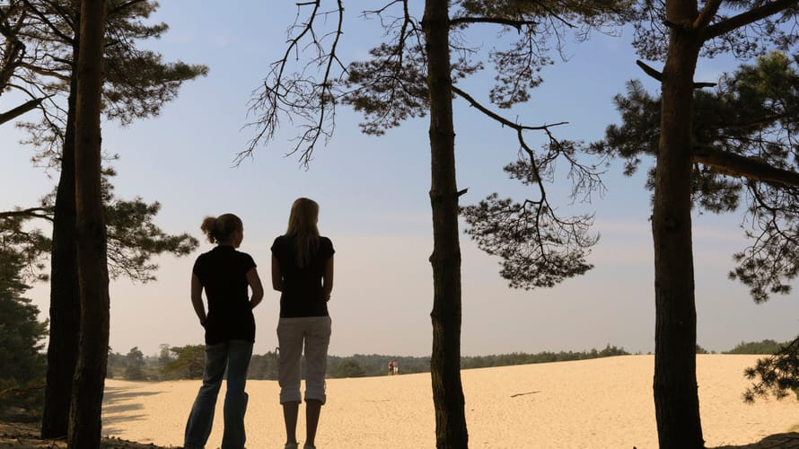 introfoto Hulshorsterzandwandelingen