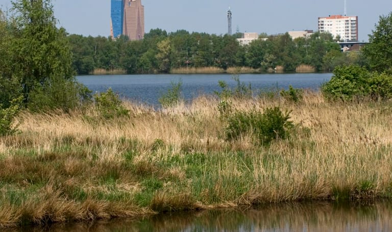 Piccardthofplas, vlak onder de stad Groningen