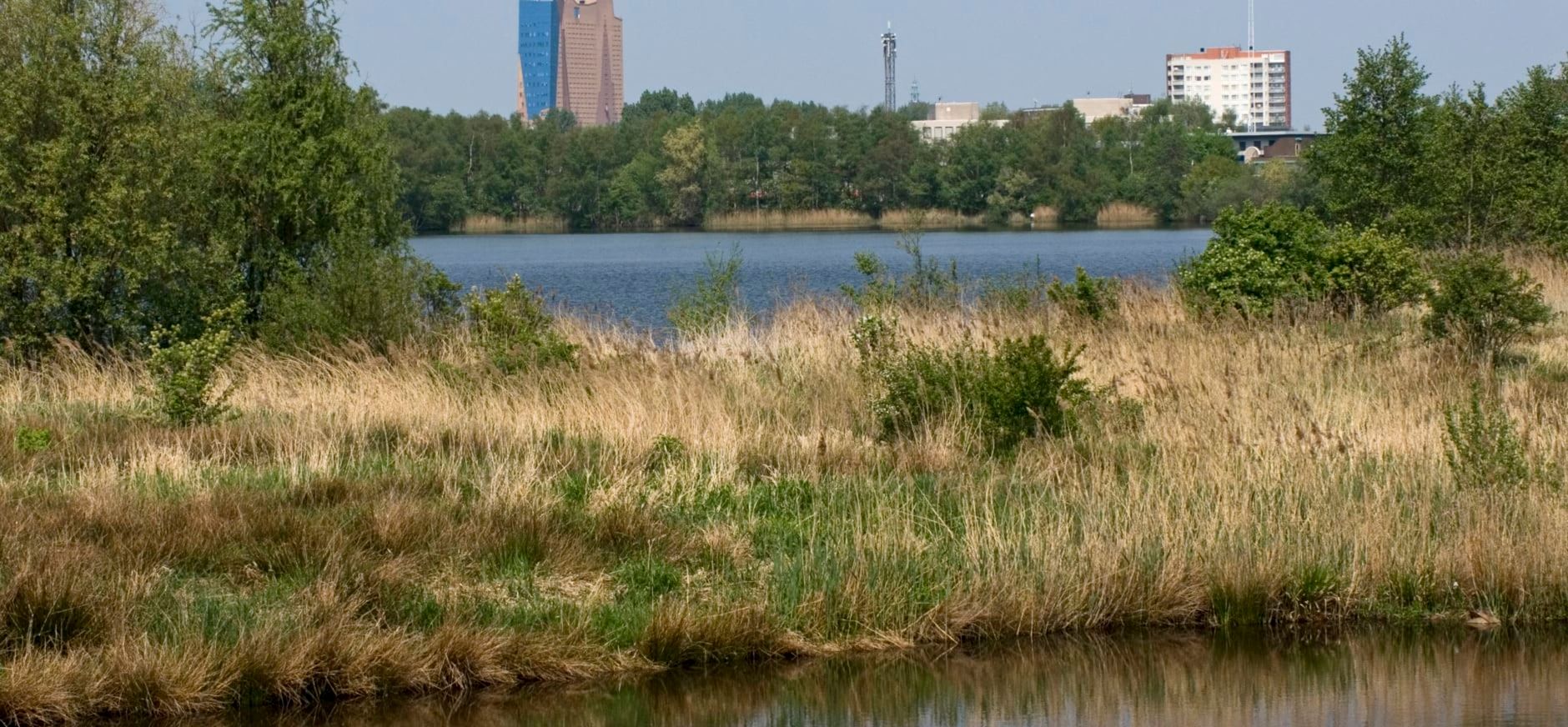 Piccardthofplas, vlak onder de stad Groningen