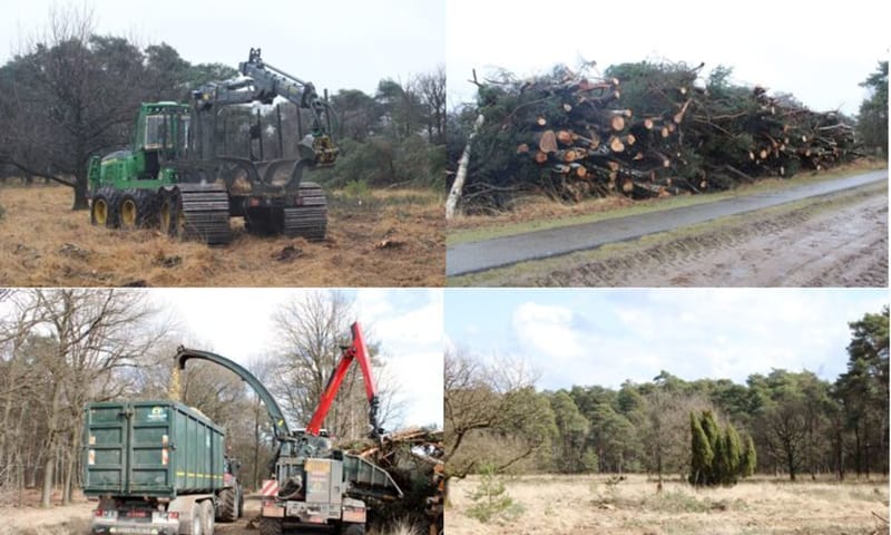 werkzaamheden jeneverbessen