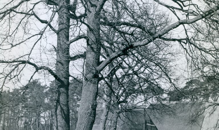 Landschappelijk schoon Eerder Achterbroek 1949