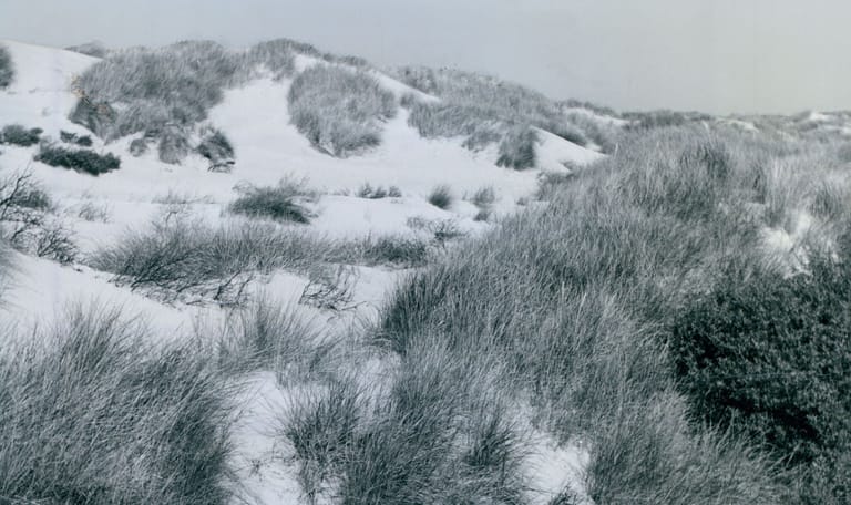 Duinen Koningshof 1962