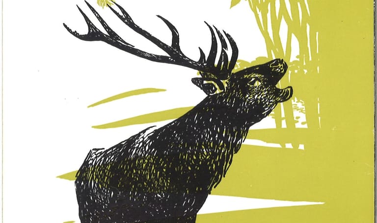 Actie Deelerwoud 1967