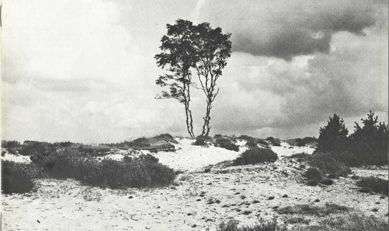 Eerste ledentijdschrift Natuurmonumenten 1970