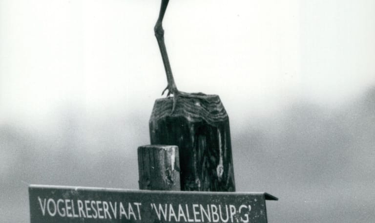 Vogeleiland Texel 1909
