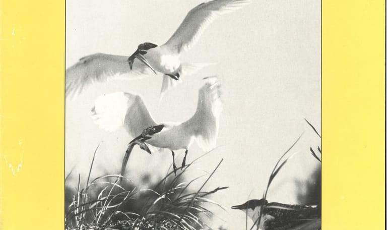 Doelstellingennota 1993