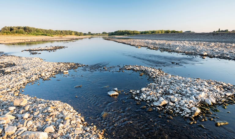 100.000e hectare Natuurmonumenten grensmaas 2008