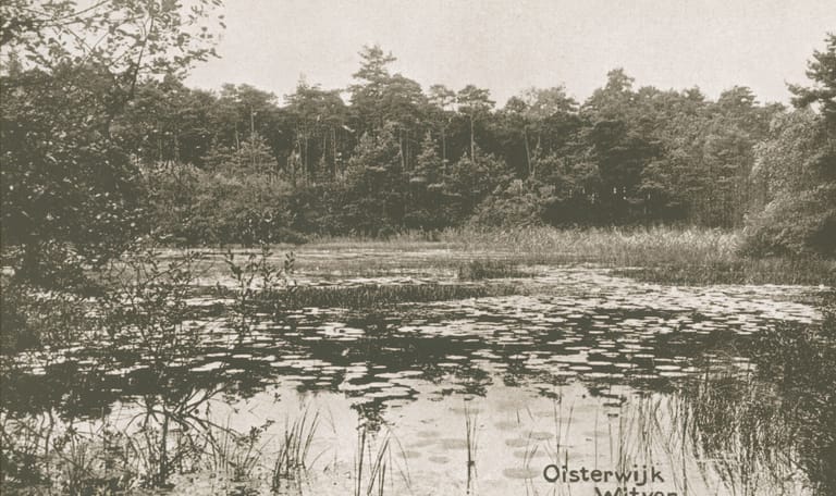 Oisterwijkse bossen en vennen 1913