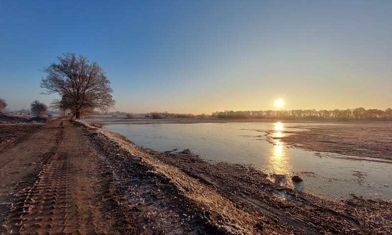 Herstel vennen aan weerszijden Lage Steenweg