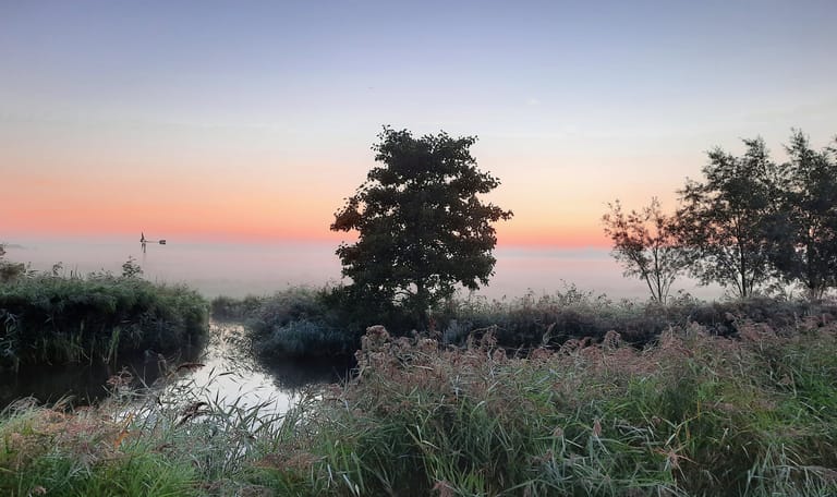 Wormerveer