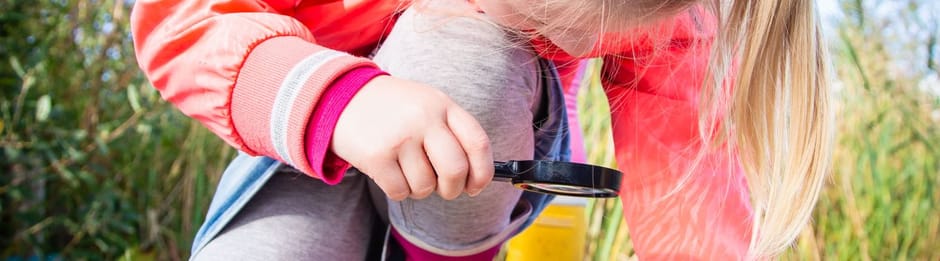 Waterbeestjes van OERRR