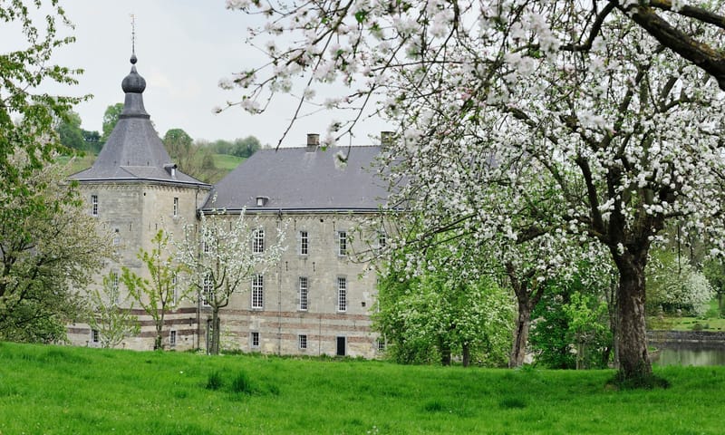 Zicht op Kasteel Genhoes omringd door bloesembomen