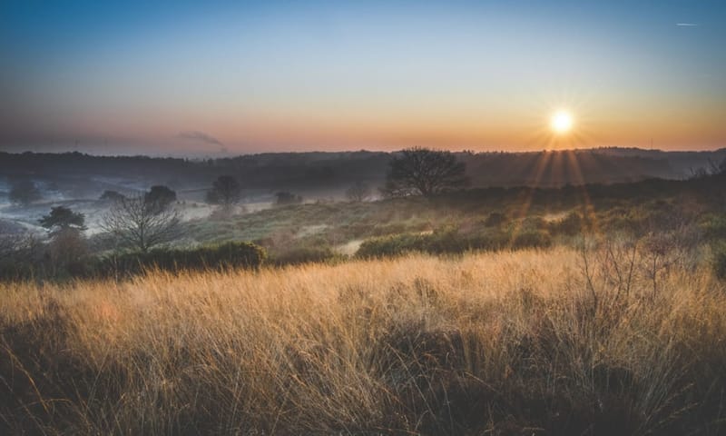 meest populaire wandelroute Veluwezoom Posbank