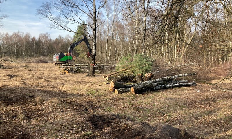 Witte Veen natuurherstelwerk 2023