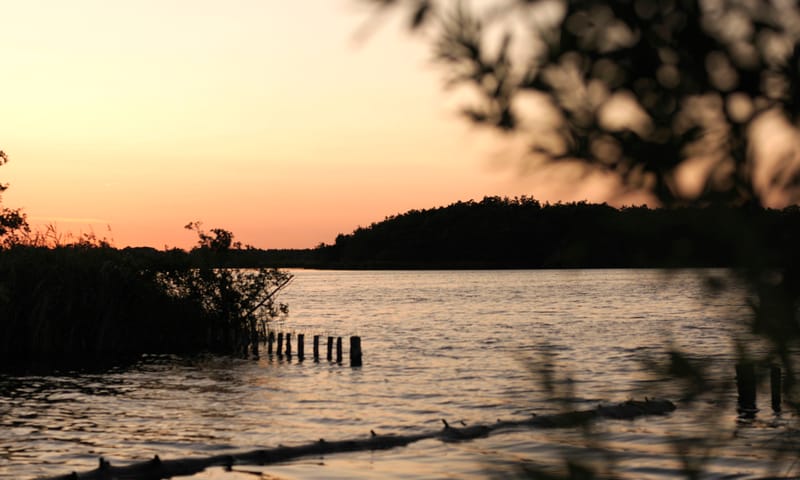Zonsondergang in Botshol