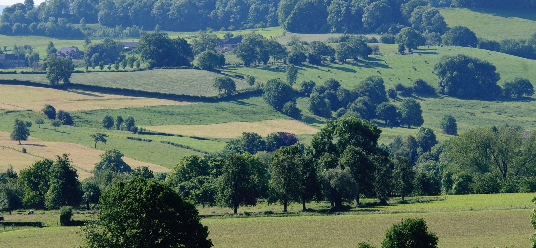 Bocagelandschap Geuldal