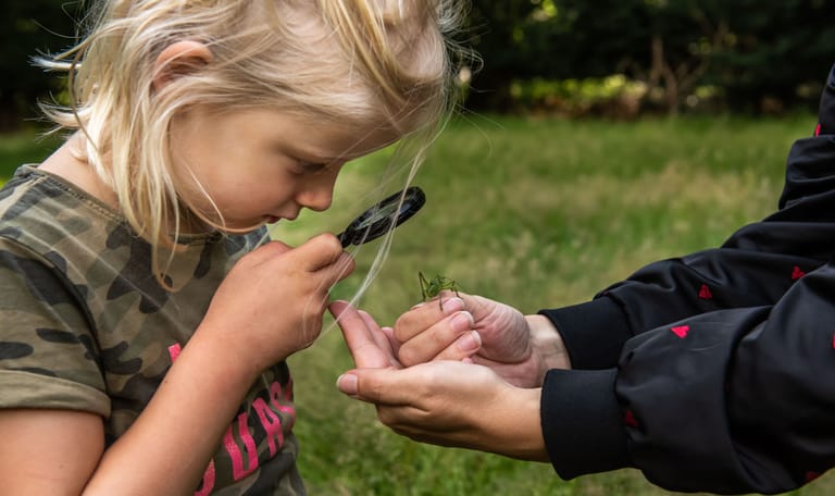 Op zoek naar kriebelbeestjes