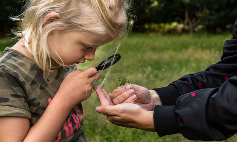 Op zoek naar kriebelbeestjes
