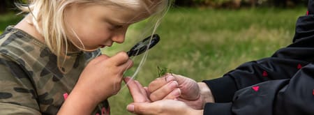 Op zoek naar kriebelbeestjes