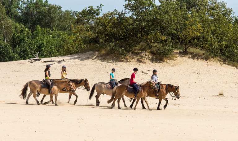 Rijden in het stuifzand