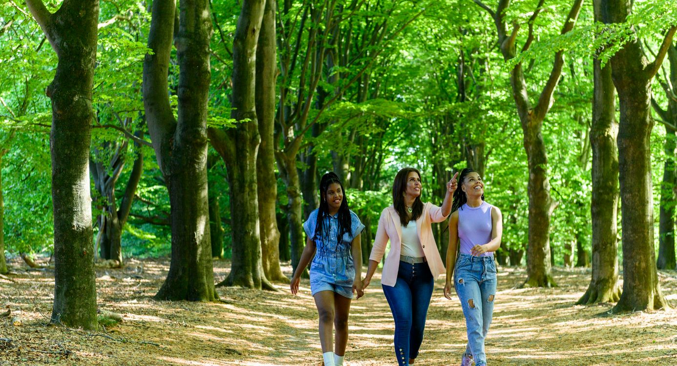 Wandelen in de herfst Kaapse Bossen