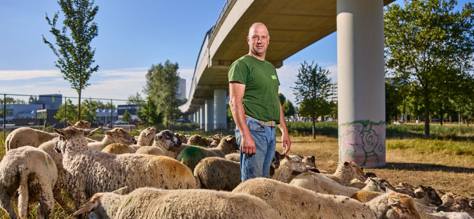 Stadsherder Martin Oosthoek Belevenisboerderij Schieveen