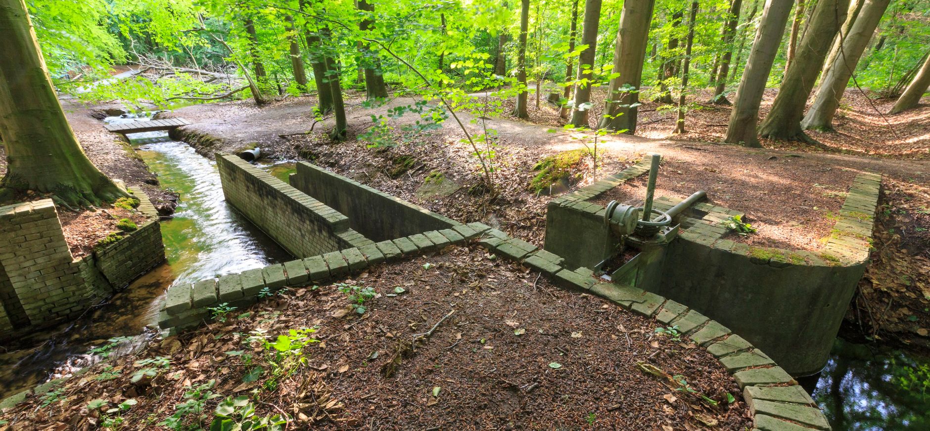 Waterloopbos, Flevoland