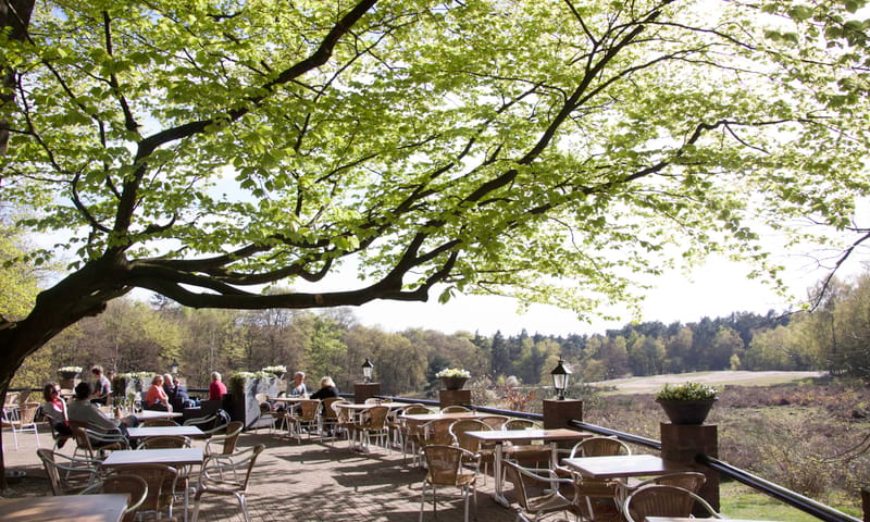 Chalet Helenaheuvel, terras