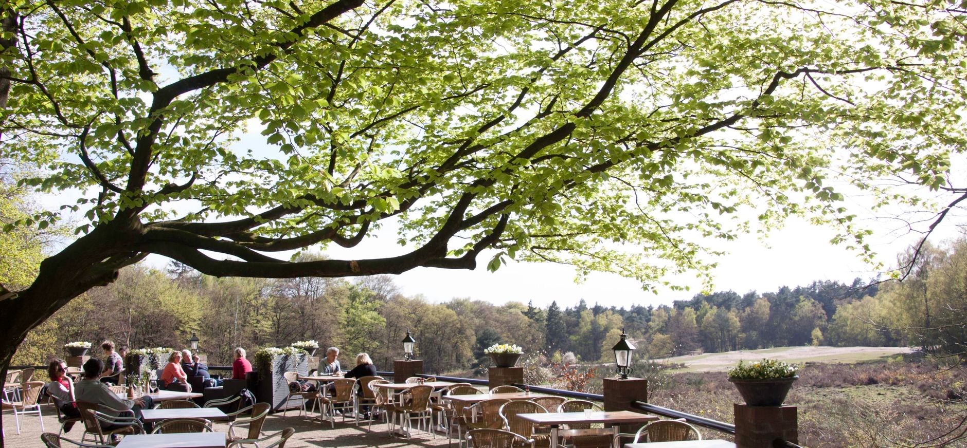 Chalet Helenaheuvel, terras