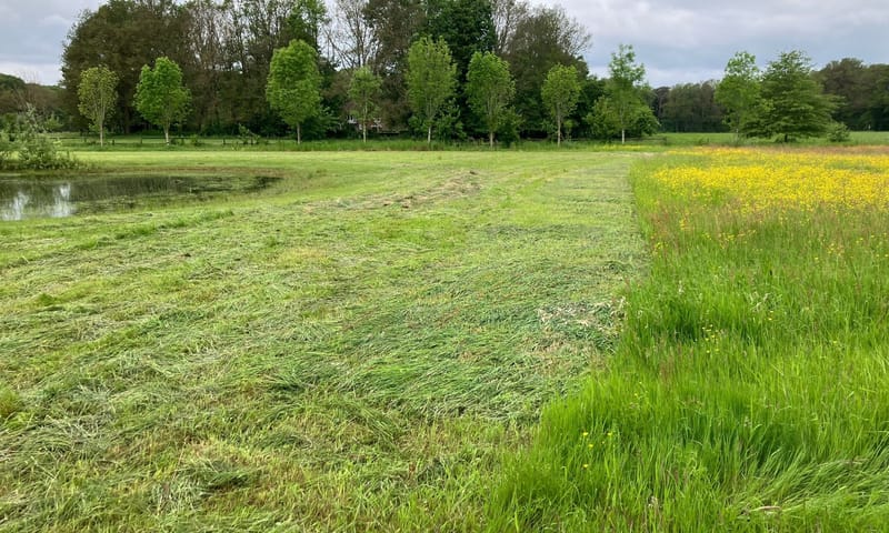 vroeger maaien Onderlaatste Laak