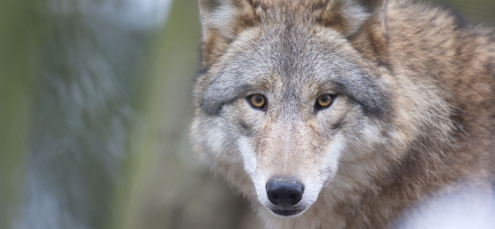 Meer biodiversiteit jaarverslag 2022