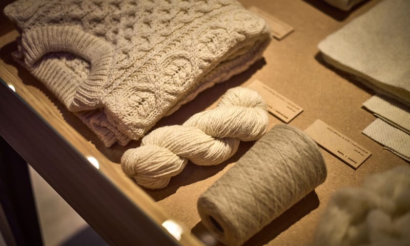 Wolexpositie De Zachte Stad is te zien in Belevenisboerderij Schieveen