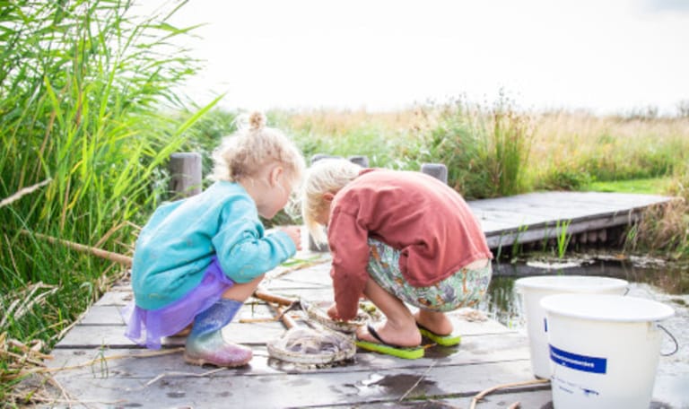 Kinderen inspecteren hun schepnet