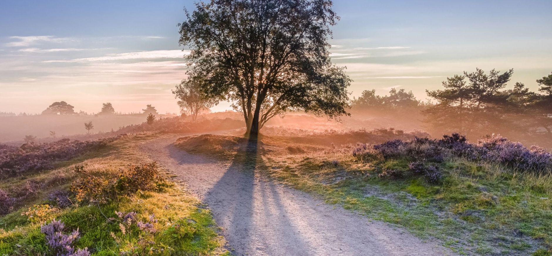 Zonsopkomst op de hei