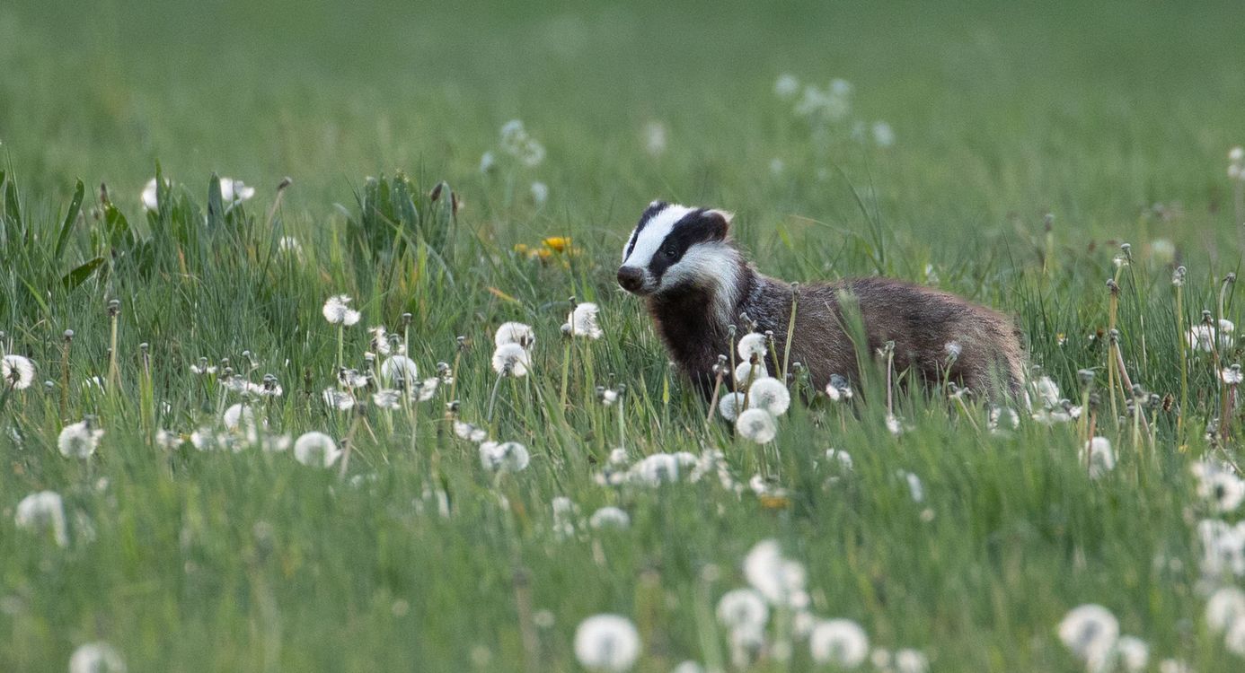 Historisch Eerde, Overijssel
