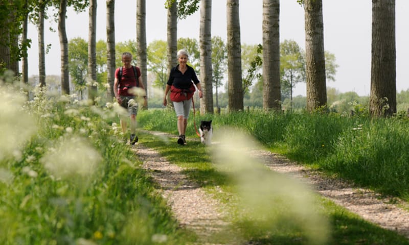 Twee wandelaars over karrenspoor, Zwaakse Weel