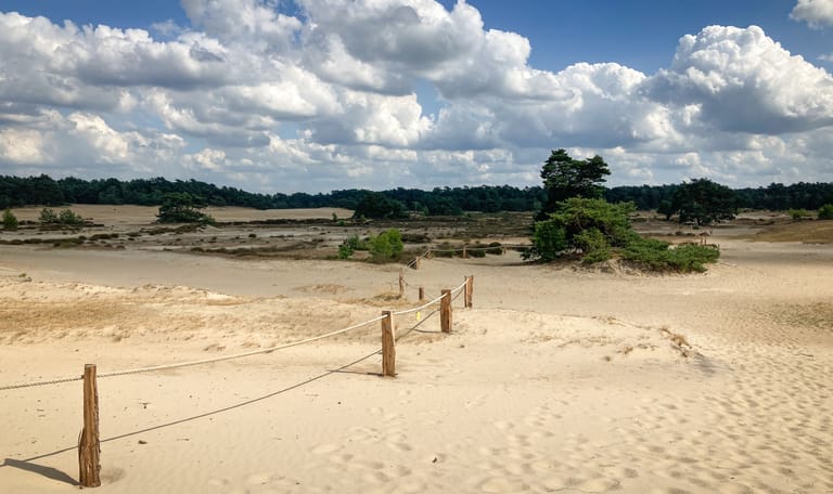 Hulshorsterzand afgesloten in het broedseizoen