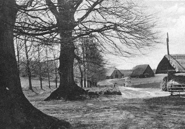 Boerderij Herikhuizen met schaapskooi op een foto uit 1923
