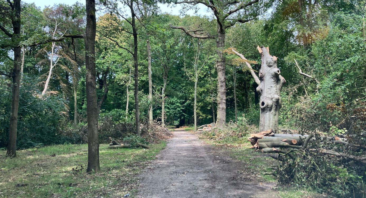 Beeckestijn opgeruimd na de storm